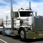 FLX Pete 359 v1.586