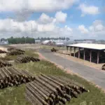 Great America Map v5.63