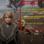 NPC Visual Overhaul4