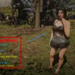 NPC Visual Overhaul6