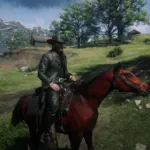 New Nevada Hat4