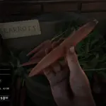 No Scripted Witness3