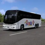 Nudle Coach