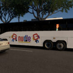 Nudle Coach2