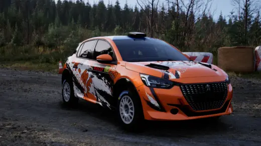 Peugeot 208 Rally4
