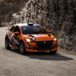 Peugeot 208 Rally41