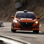 Peugeot 208 Rally43