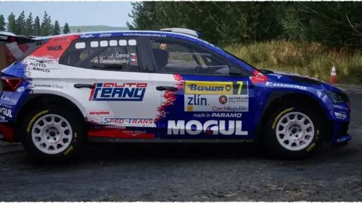 Skoda Fabia R53