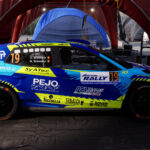 Skoda Fabia Rally 2 Roberto DAPRA5