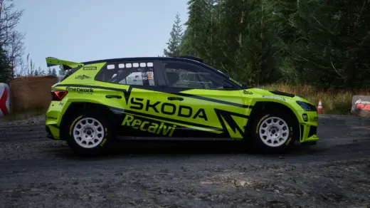 Skoda Fabia Rs Rally 2 - José Antonio4