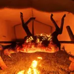 Ultimate Camping - Cooking - Gardening Overhaul2
