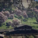 Valentine Blossoms4