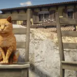Wilson - Orange Cats in RDR23
