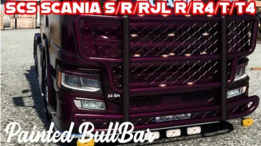 painted-bull-bar-v12