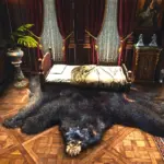 Arthurs Mansion and Immersive Lifestyle3