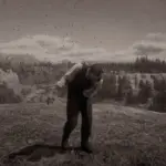 Cowass Euphoria