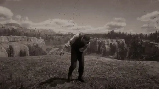 Cowass Euphoria