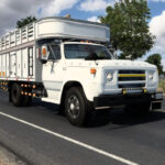 Dodge D series DN800