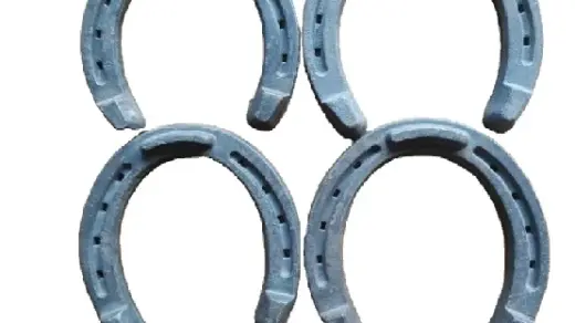 Fix horseshoes