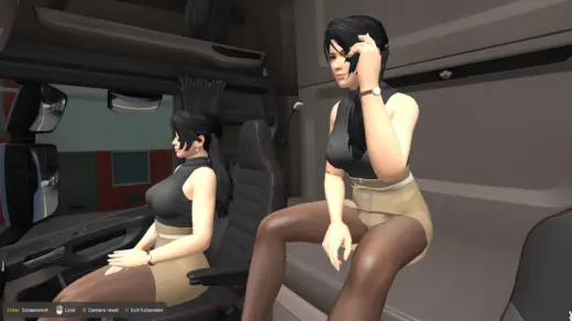Momiji Co-Driver v1.0