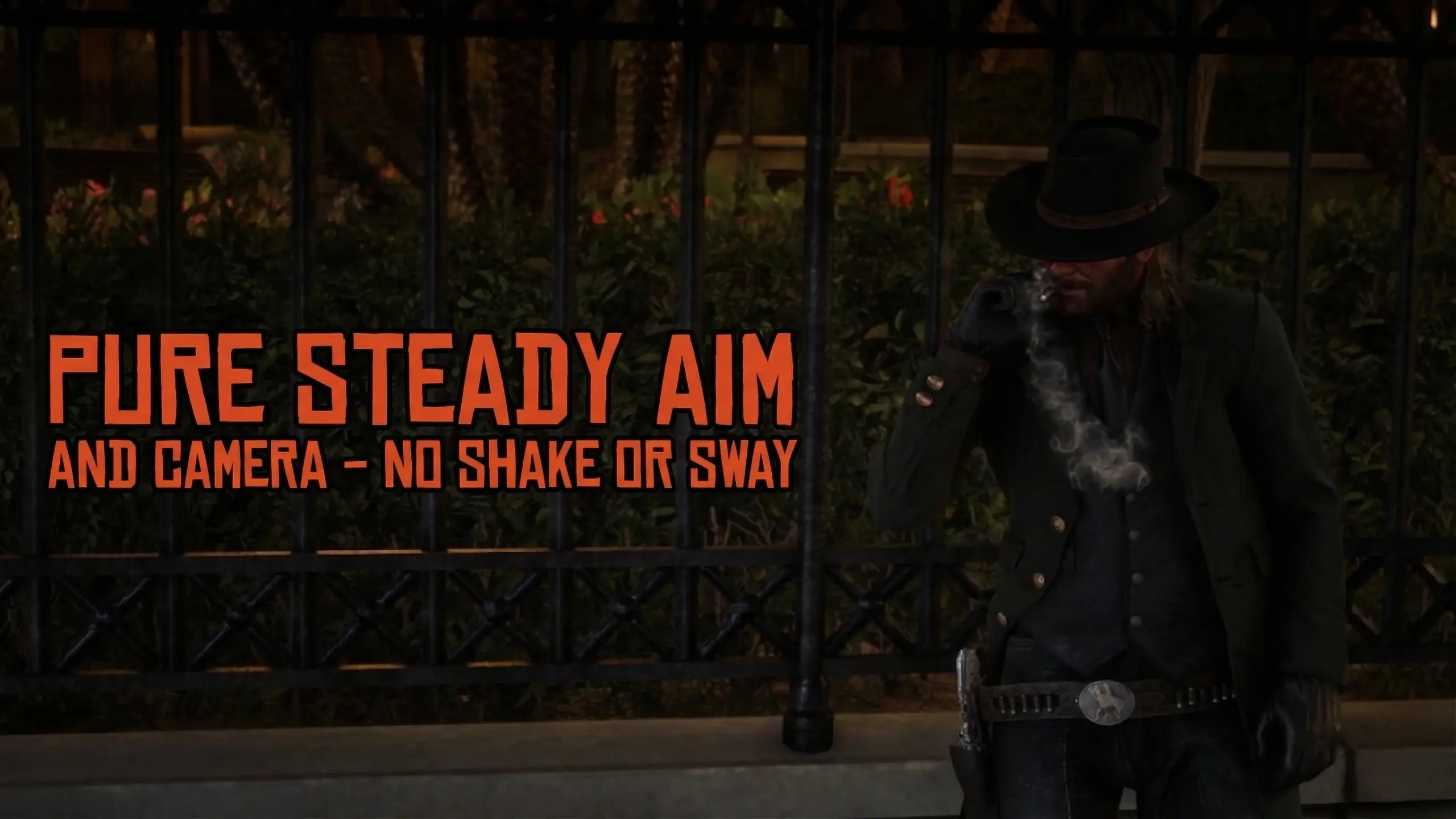 Pure Steady Aim and Camera - No Shake or Sway
