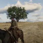 Saddle Accessories2
