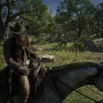Sheriff Freeman Hat3