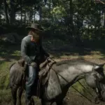 Sheriff Freeman Hat4