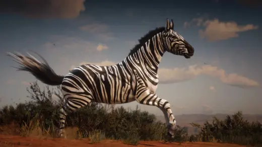 Zebra