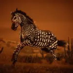 Zebra5