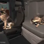 dog-with-animation-v158