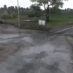 png-road-to-20-spring-update-v158-159