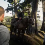 CODE RED DEAD INSURANCE5