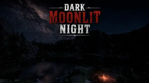 Dark Moonlit Night