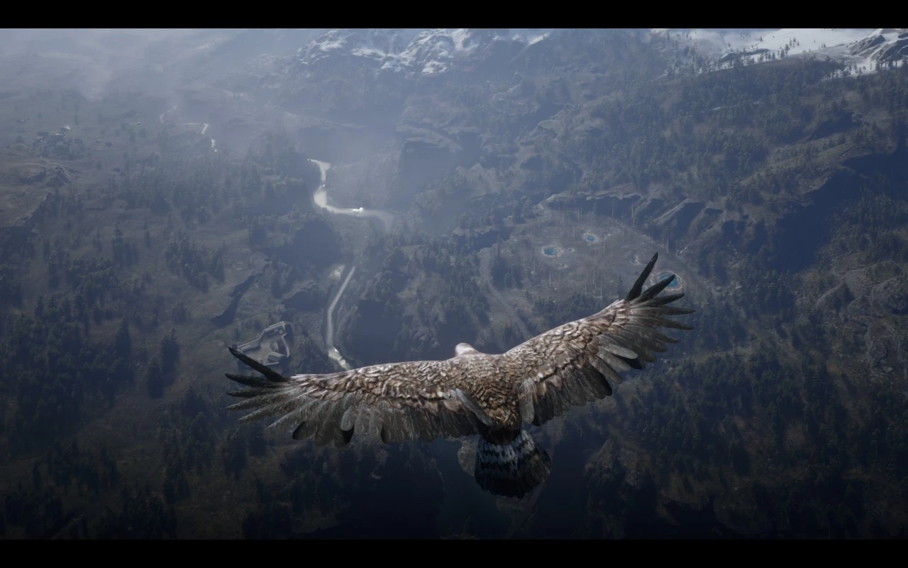 Eagle Transformation