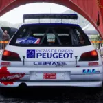 Peugeot 306 Maxi Gilles Panizzi2