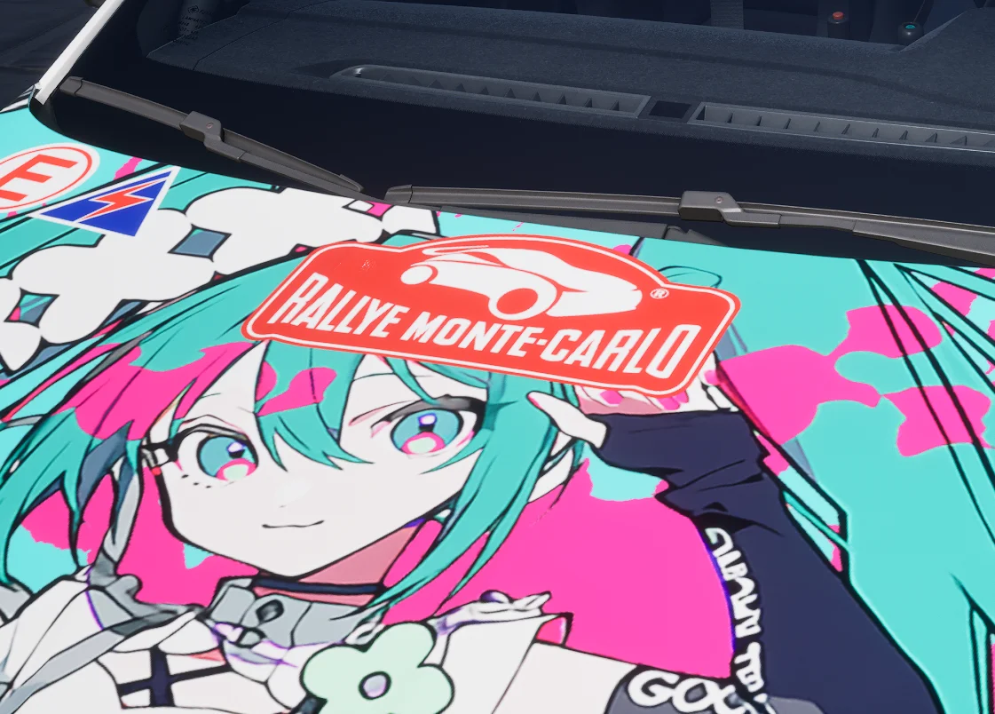 Real rally number plates