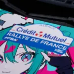 Real rally number plates2