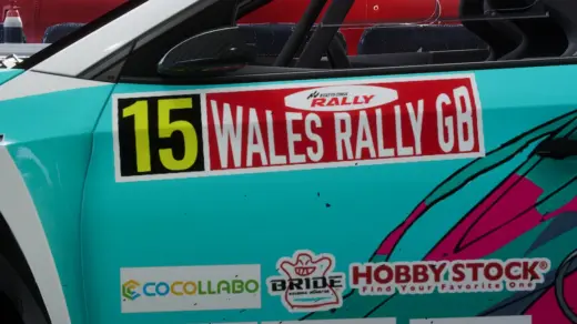 Real rally number plates6