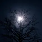 Alien UFO Abductions4