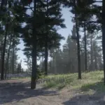 Appleseed Timber - Reforestation Project3