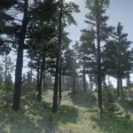 Appleseed Timber - Reforestation Project5