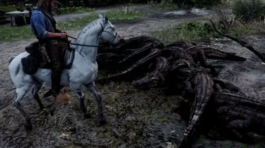 Fearless Horses - No Horse Bucking