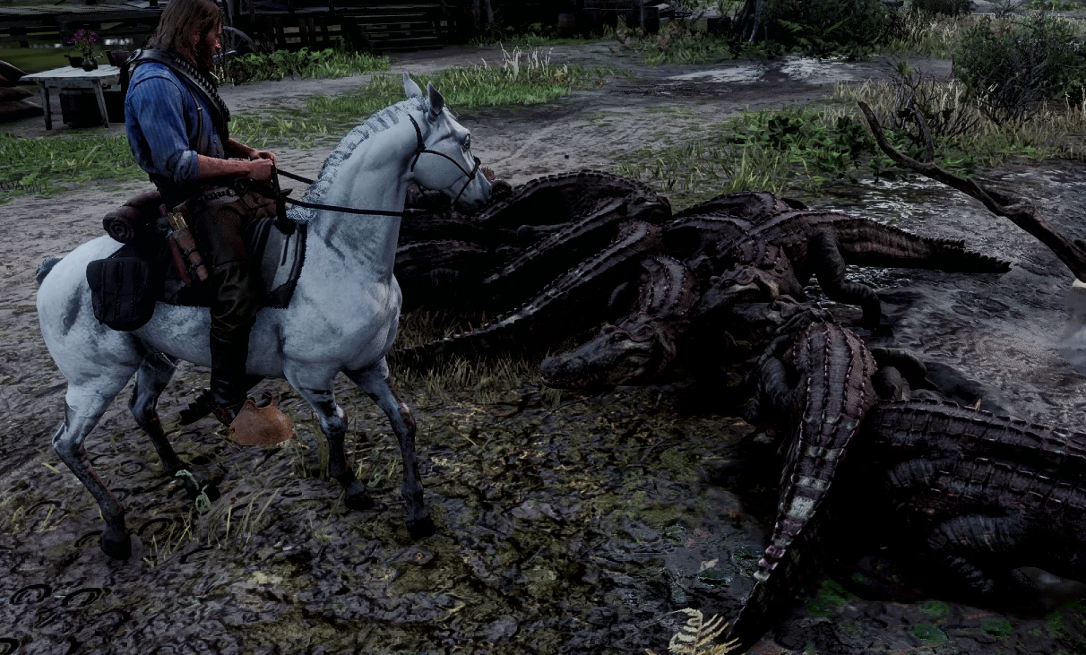 Fearless Horses - No Horse Bucking