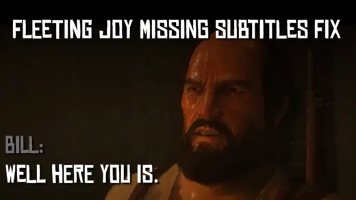 Fleeting Joy Missing Subtitles Fix