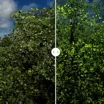 GDX Realistic Graphics5