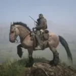 Just Some Horse Coat Swaps2