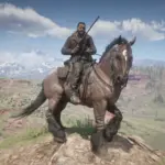 Just Some Horse Coat Swaps3