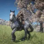 Just Some Horse Coat Swaps5