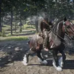 Just Some Horse Coat Swaps6
